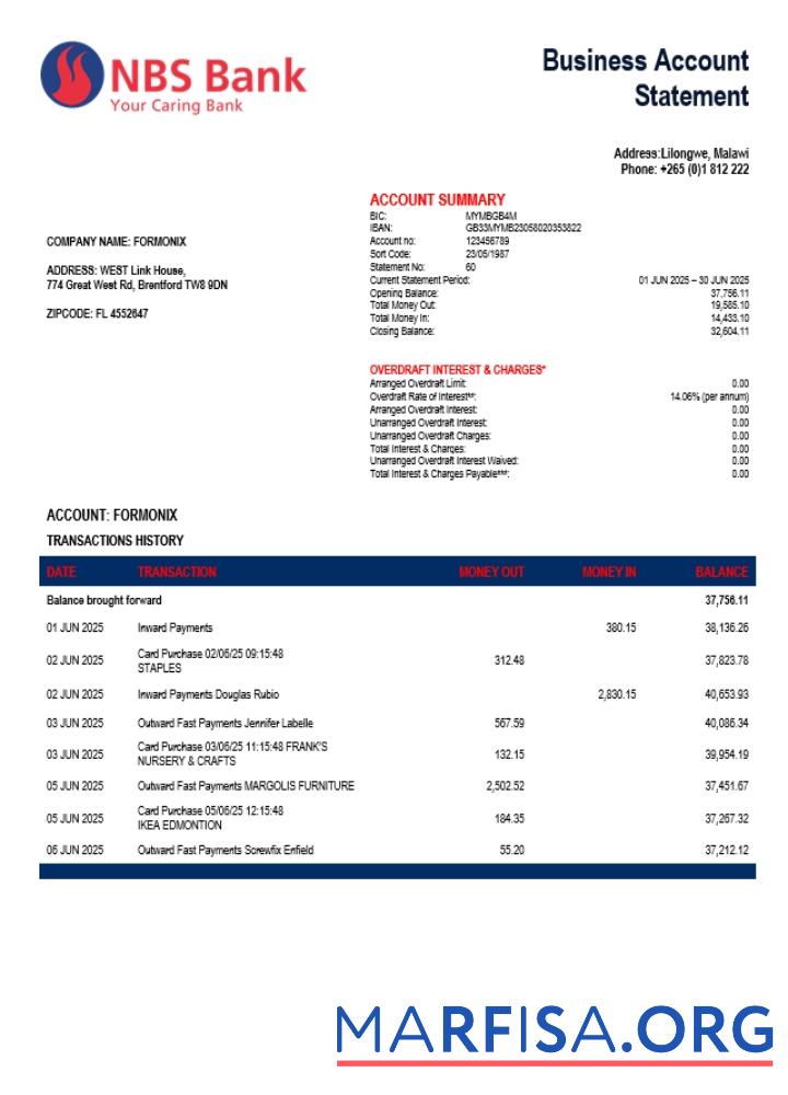 Realistic NBS enterprise account statement Word and PDF template (1)